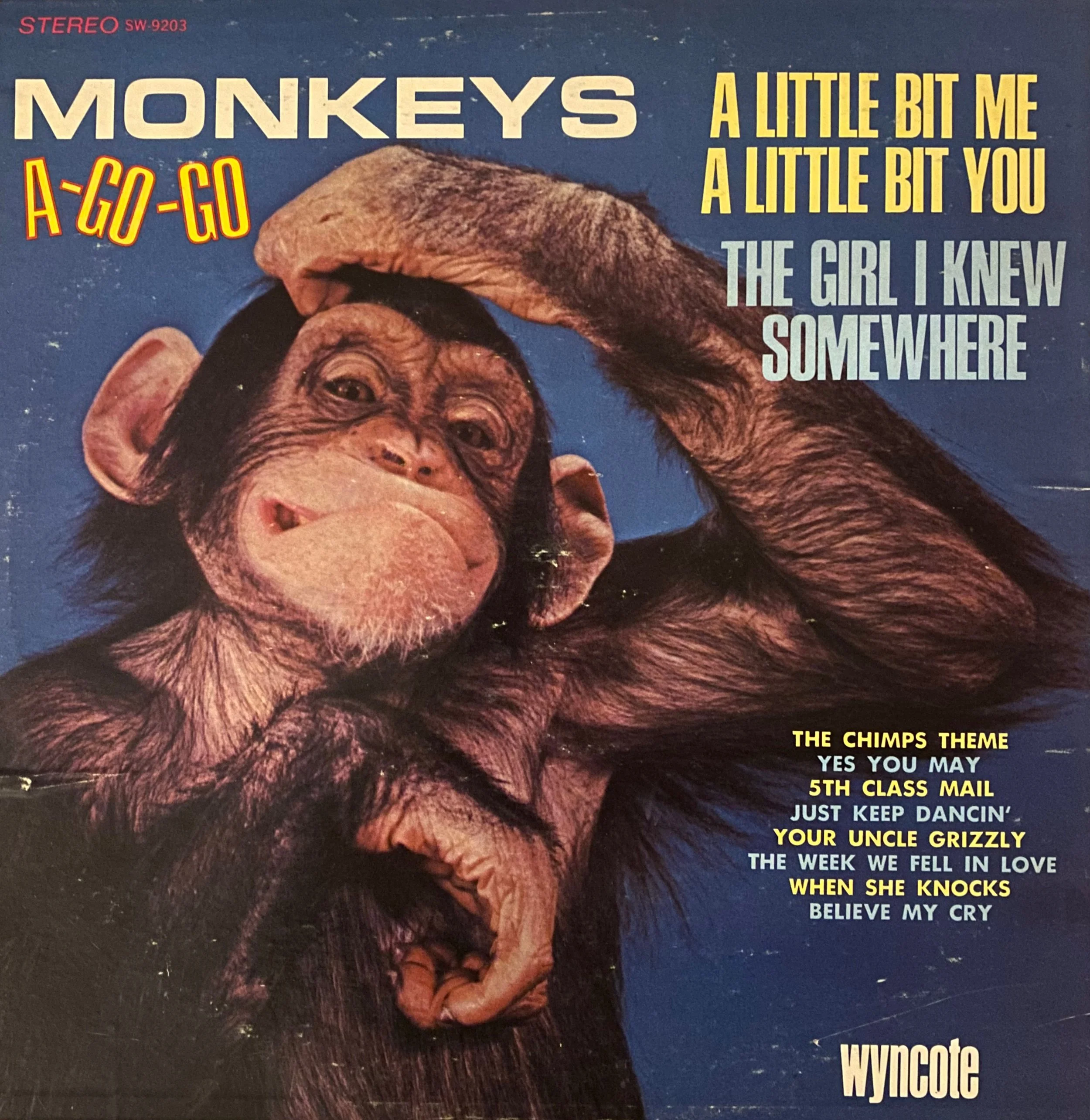 Hey Hey, We're the Chimps! — Devine Fancy